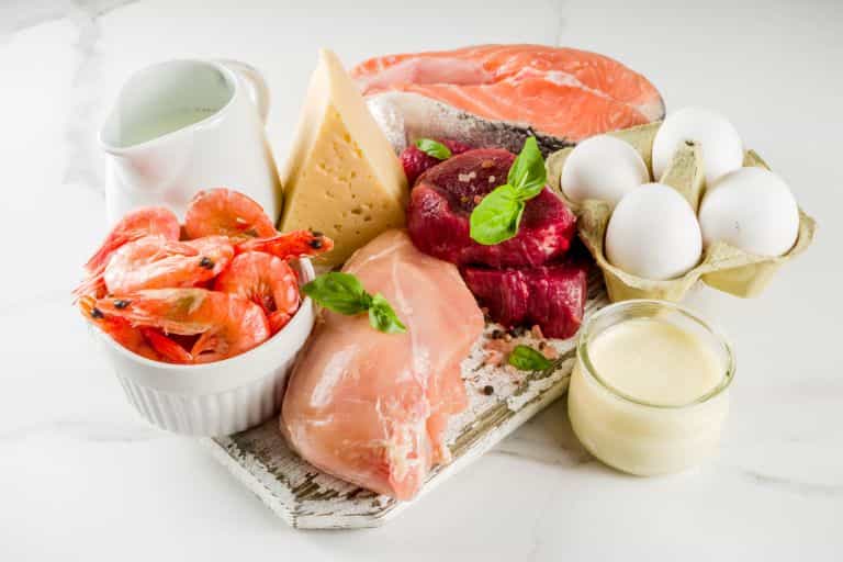 단백질 식단 짜기 초간단 꿀팁이 궁금하세요