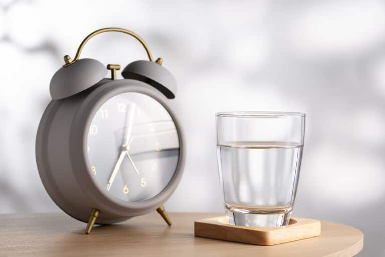 단식하는 법, 초급부터 고급까지 노하우 대공개!