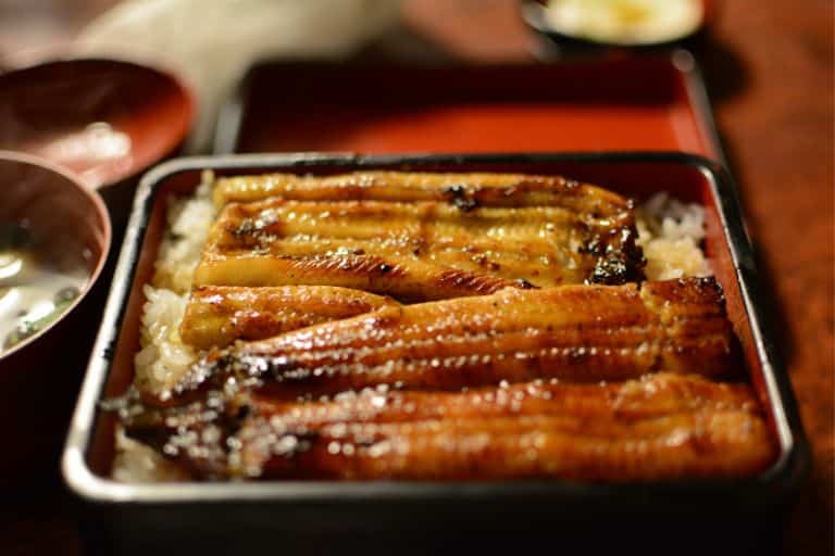 장어 다이어트 하면 뱃살을 빨리 뺄 수 있을까요