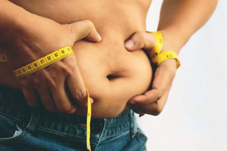 체지방 28 프로에서 다이어트 성공하는 비법 13가지