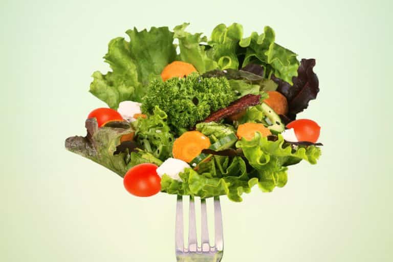 하루 1300칼로리 먹고 운동하면 살 많이 빠지나요