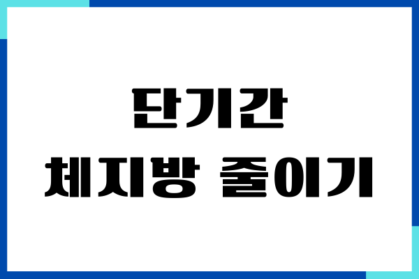 단기간 체지방 줄이기 효과적인 방법이 궁금하세요