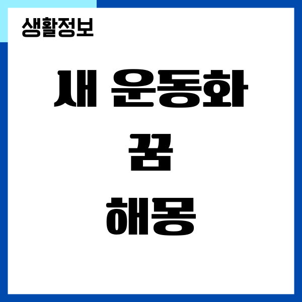 새 운동화 꿈, 운동화 신는 꿈, 운동화 없어지는 꿈 해몽