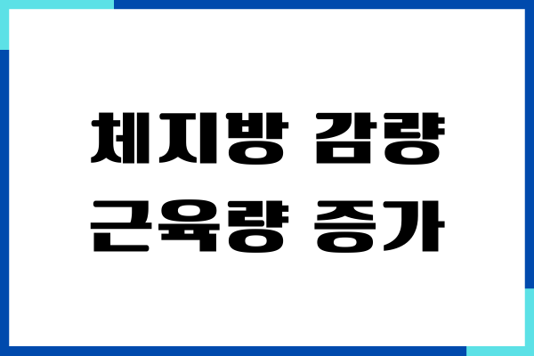 체지방 감량 근육량 증가 식단, 쉽게 짜는 방법