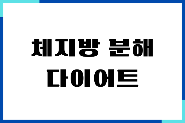 체지방 분해, 감소에 도움이 되는 다이어트
