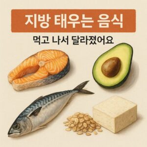 지방 태우는 음식, 먹고 나서 달라졌어요