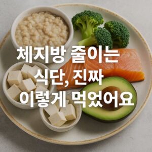 체지방 줄이는 식단, 진짜 이렇게 먹었어요