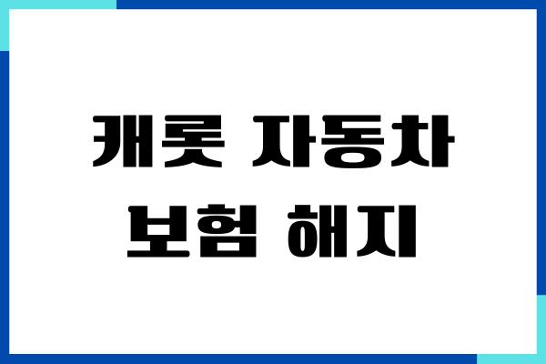 캐롯 자동차보험 해지 이유, 해지 방법, 환급금 조회
