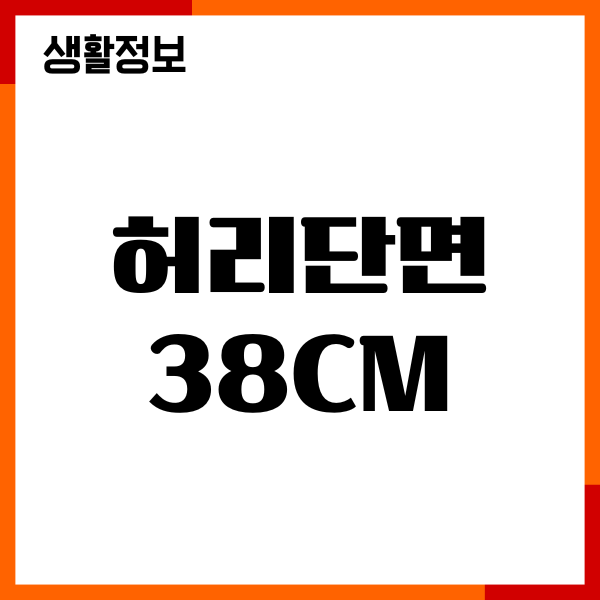 허리단면 38cm 몇 인치일까요 정확한 계산 방법