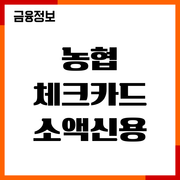 농협 체크카드 소액신용 신청 방법, 한도 부여 조건