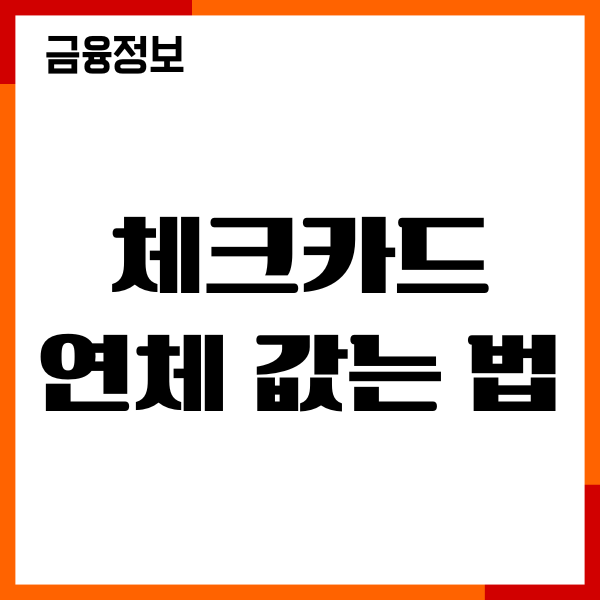 체크카드 연체 갚는 법, 신용점수 영향, 대처후기