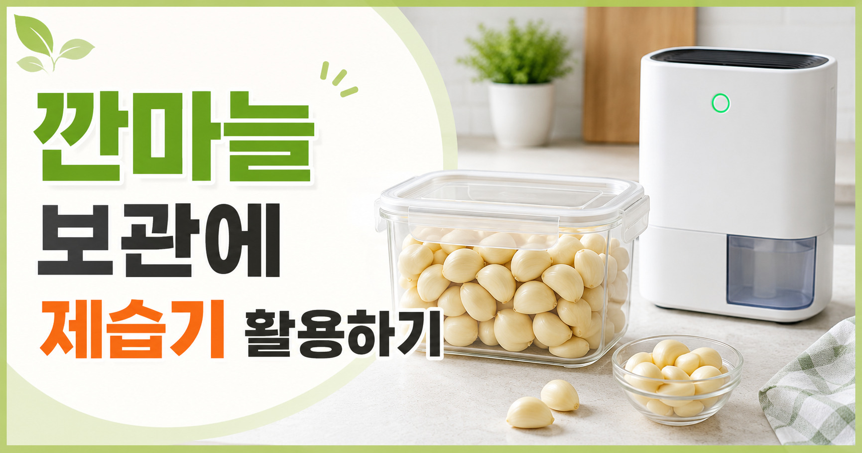 깐마늘 보관에 제습기 활용하는 현실적인 방법