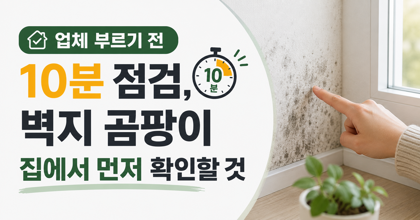 업체 부르기 전 10분 점검, 벽지 곰팡이 집에서 먼저 확인할 것