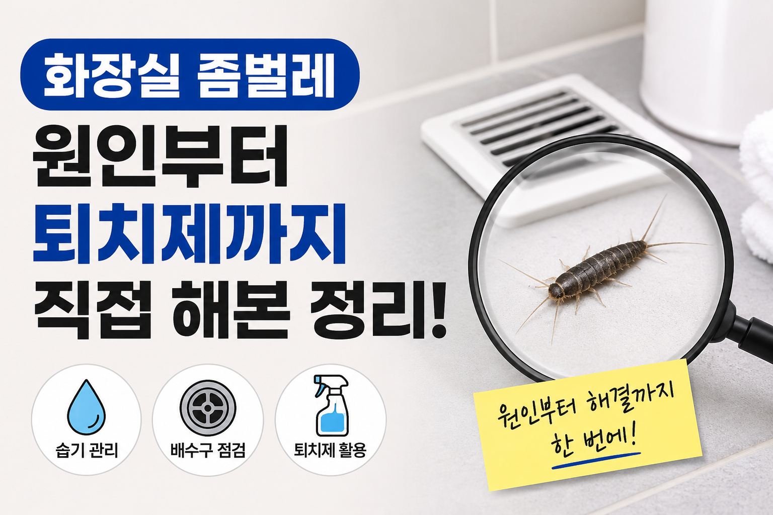 화장실 좀벌레 왜 생길까 원인부터 퇴치제까지 직접 해본 정리
